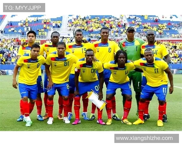 塞内加尔与厄瓜多尔足球对决分析及战术解析